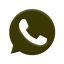 WhatsApp icon